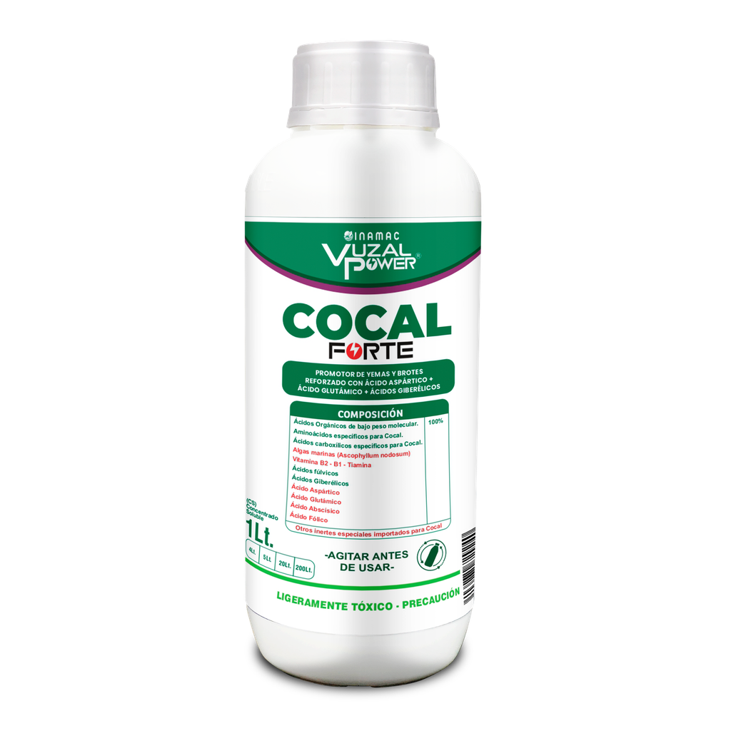 VUZAL POWER - COCAL FORTE - 1LT