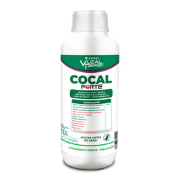 [19.02.06.27.01] VUZAL POWER - COCAL FORTE - 1LT