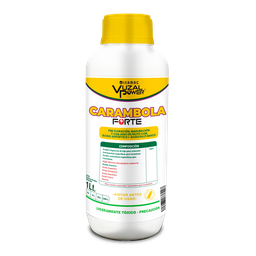[19.02.06.29.01] VUZAL POWER - CARAMBOLA FORTE - 1LT
