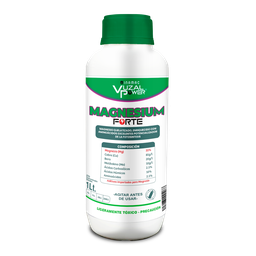 [19.02.09.01.01] VUZAL POWER - MAGNESIUM FORTE - 1LT