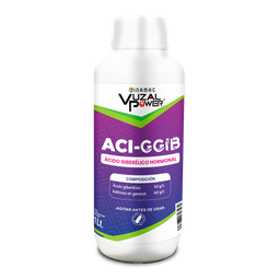 [19.02.16.01.03] VUZAL POWER - ACI-GGIB - 1LT