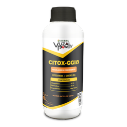 [19.02.16.02.03] VUZAL POWER - CITOX-GGIB - 1LT