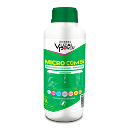 [19.02.18.02.01] VUZAL POWER - MICRO COMBI - 1LT