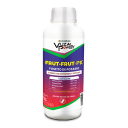 [19.02.19.01.01] VUZAL POWER - FRUT-FRUT-PK - 1LT