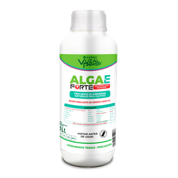 [19.02.22.02.01] VUZAL POWER - ALGA E FORTE - 1LT