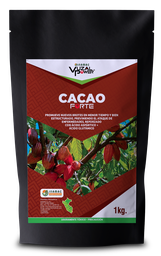 [19.01.05.04.01] VUZAL POWER - CACAO-FORTE - 1KG