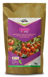 [19.01.06.01.01] VUZAL POWER - BORO-FORTE - 1KG